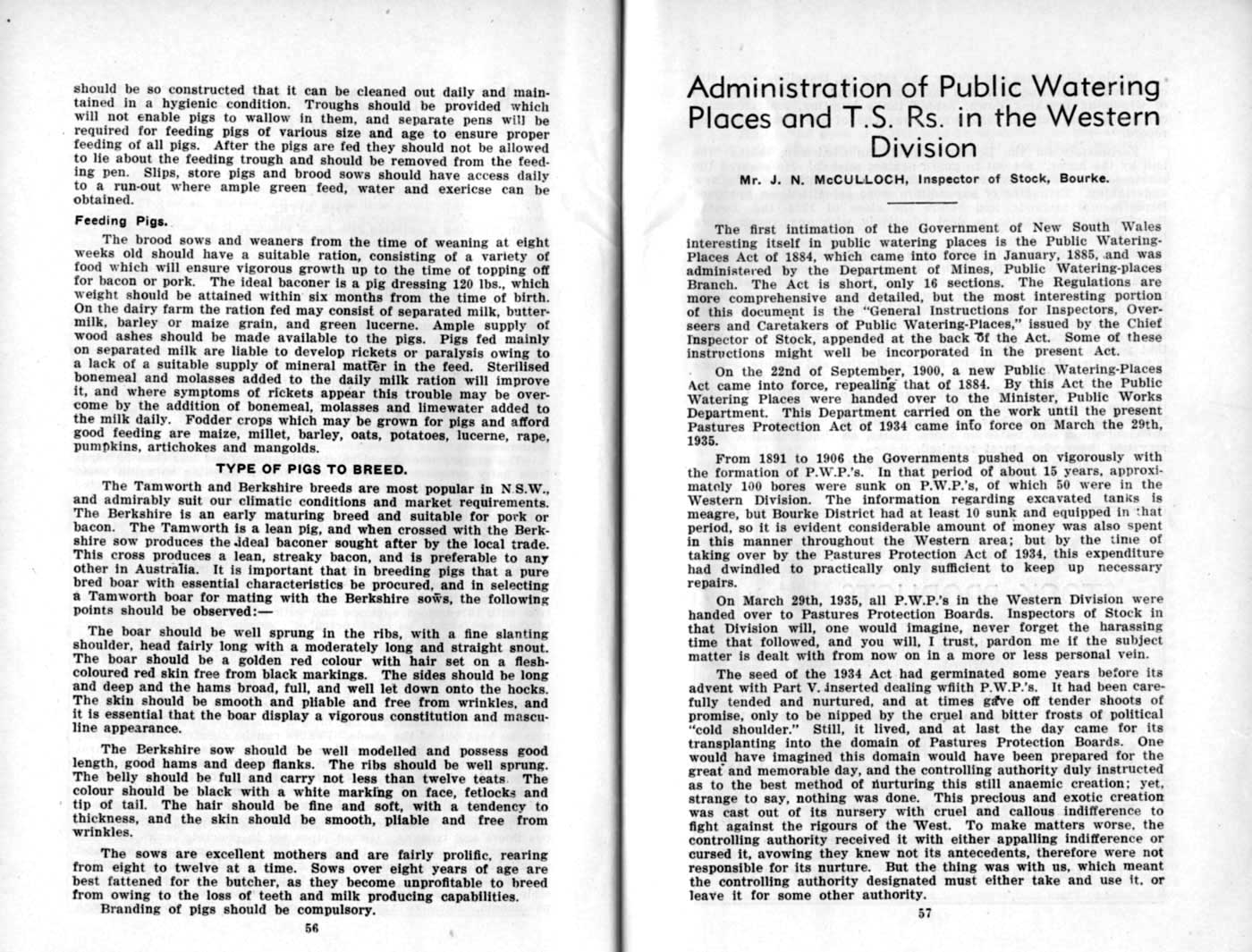 1937 Page 56 57